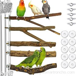 Changge 5 piezas de madera para pájaros de juguete para pájaros y aves de seguridad accesorios para la mayoría de las aves