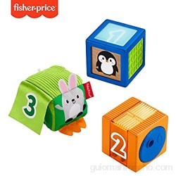 Fisher Price - Bloques Sensoriales Juguete para Bebés +6 Meses (Mattel GJW13)
