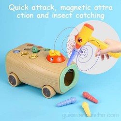 Montessori Juguetes Aprendizaje Juego Infantil Magnetico Colores Que Desarrolla Habilidades Cognitivas Juguetes Montessori 1+ Años Regalo de Cumpleaños Juegos Educativos de Granja Infantiles Ejercicio
