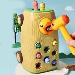 Mooyod Early Education Woodpecker Feeding Game Magnetic Toddler Toy Fine Motor Skills Sensory Preschool Toys Set