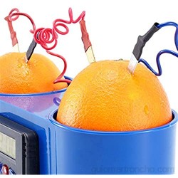 PANJAZE Kit de Reloj Digital de Frutas de Fruta de Papa DIY Reloj electrónico para Papa y Fruta para Juguete de enseñanza de DIY Juguete Aprendizaje de Juguetes Regalo para niños y Adolescentes