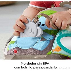 Fisher-Price Libro de actividades juguete para bebé (Mattel GJD37)