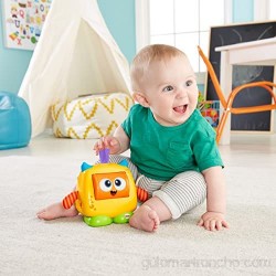 Fisher-Price Monstruito caritas divertidas juguete bebé +6 meses (Mattel DRG13)
