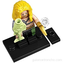 LEGO® - Minifigs - DC Collectibles - colsh-3 - Aquaman (71026).