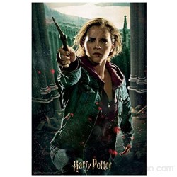 Prime 3D-Redstring-Puzzle lenticular Harry Potter Hermione Granger Batalla 300 piezas (Efecto 3D)