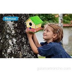 ROBOTIME Bird House 3D Puzzels Multicolor Robo Time F199