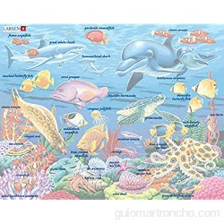 Larsen FH29 La Vida Marina en un Arrecife de Coral Puzzle de Marco con 35 Piezas